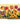 Tulip Garden Crossbody Clutch - Alesia 