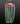 Gold Ruby Glass Jellyfish - Alesia 